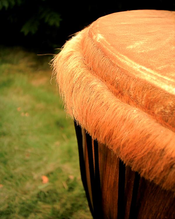 drum_1337.jpg