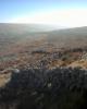 Burren walls