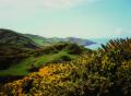 Near Woolacombe on the North Devon coast