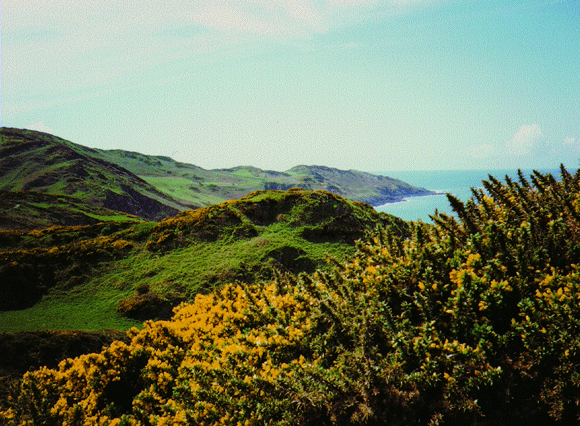 Near Woolacombe on the North Devon coast