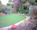 New lawn