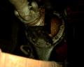 ds2_0510new.jpg