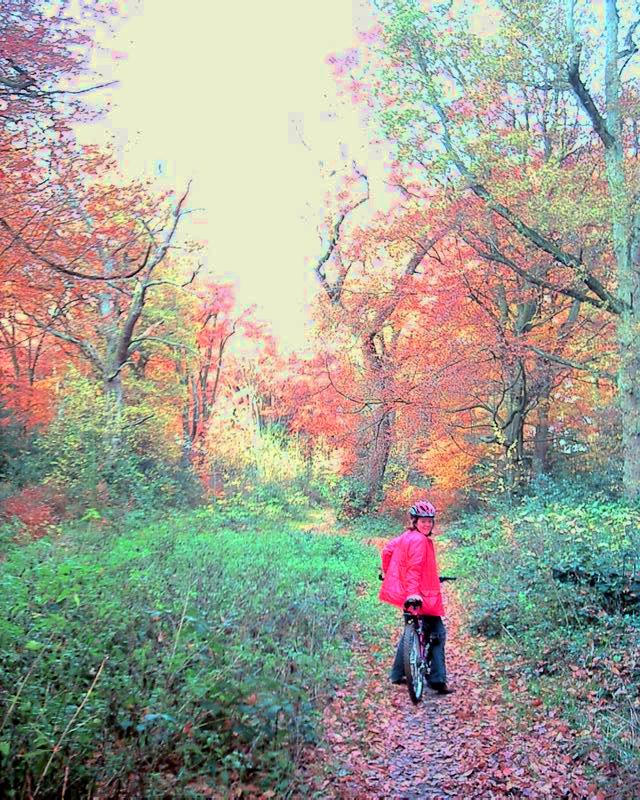 Naphill Common