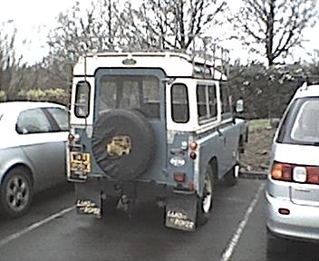 Image landy004.jpg
