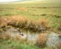 Brecon Beacons