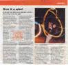 Mark P in TNT Magazine