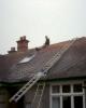 Clearing moss on the roof