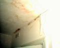 Ceiling damage due to bathroom leak