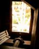 View out the back