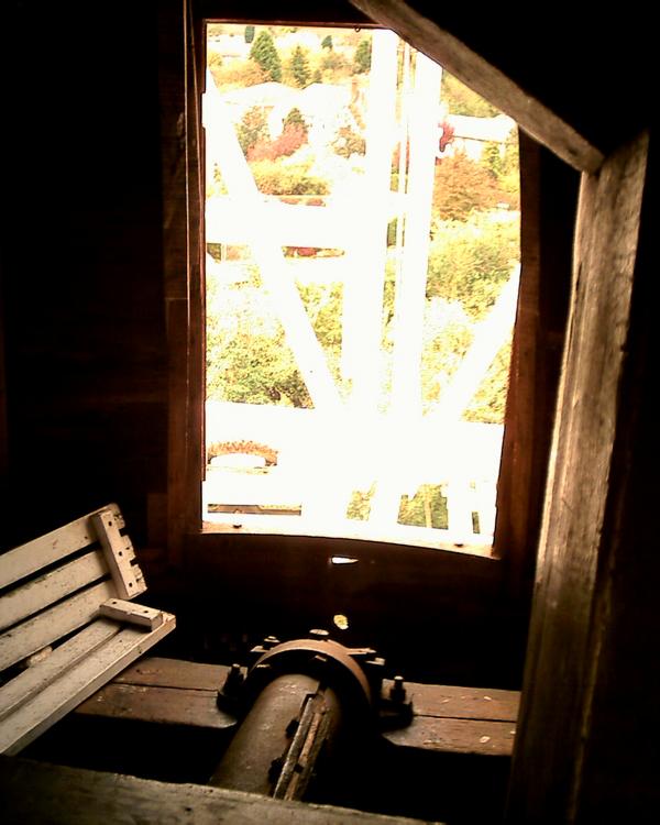 View out the back