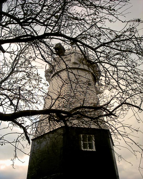 Steve's mill